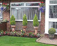 Long stem containers match tall plants